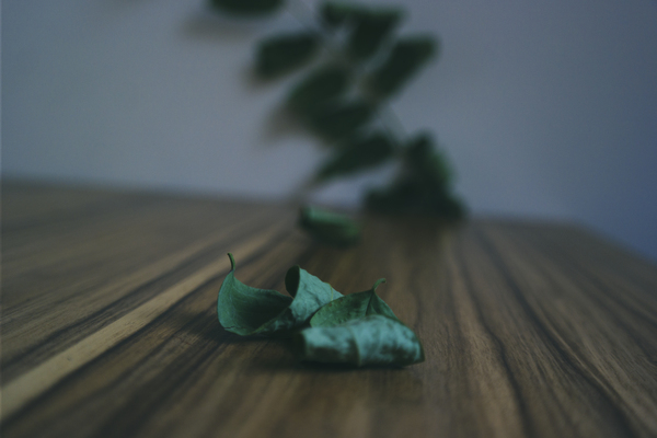 wooden,wood,table,dry leaves,depth of field