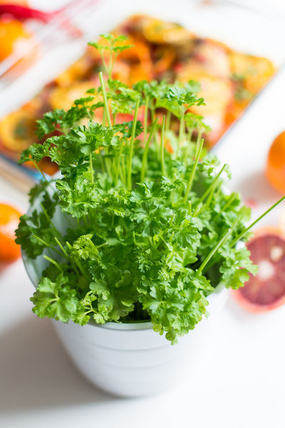 close up,green,healthy,herbs,orange,parsley