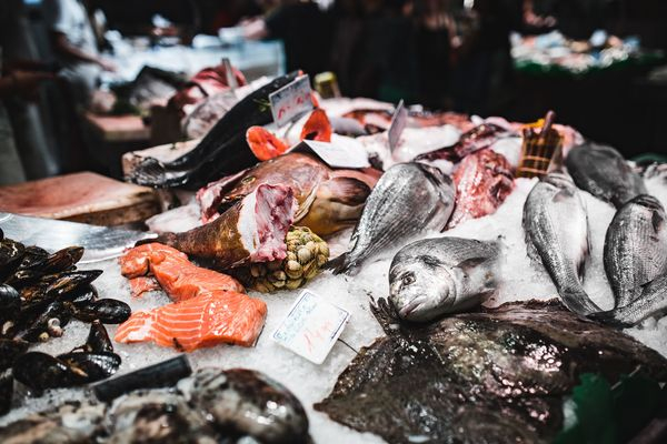 fish,market,seafood