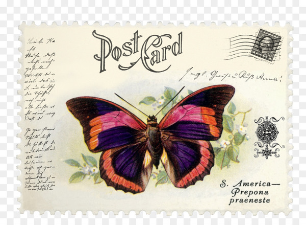 brushfooted butterflies,postage stamps,mail,butterfly,envelope,keyword tool,imprinted stamp,rubber stamp,printing,moths and butterflies,pollinator,invertebrate,brush footed butterfly,insect,png