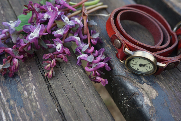 cc0,c1,vintage,red,watch,watches,purple,flowers,wooden,bench,summer,nature,green,garden,outdoor,park,natural,spring,colorful,grass,decoration,pink,peaceful,bloom,plant,seat,flora,wood,accessories,design,free photos,royalty free
