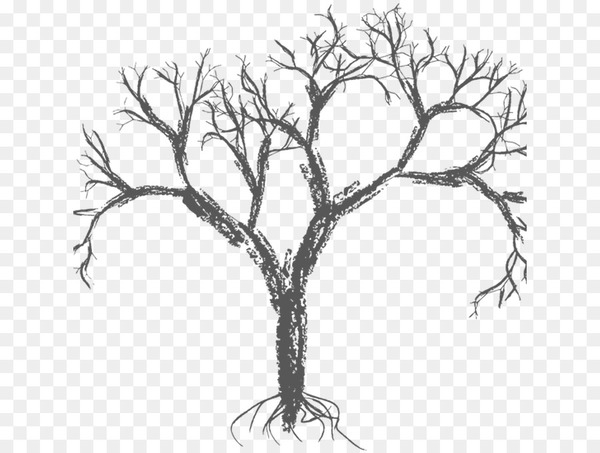 tree,branch,drawing,root,silhouette,wood,leaf,twig,line art,plant,woody plant,botany,plant stem,trunk,png