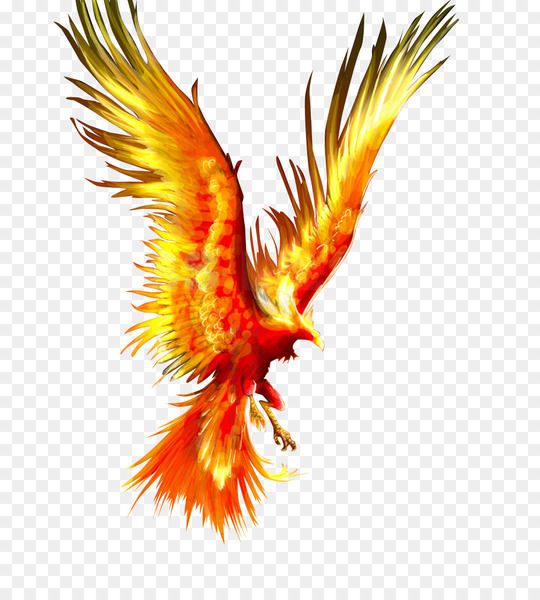 phoenix,bird,firebird,tattoo,mythology,ziz,watercolor painting,simurgh,chinese dragon,art,idea,sleeve tattoo,symbol,eagle,macaw,parrot,vertebrate,bird of prey,beak,orange,feather,wing,png