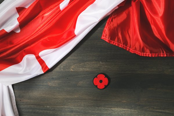  canada,poppy pin,remembrance, remembrance day