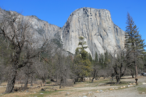 cc0,c2,el capitan,yosemite,tree,park,california,national,landscape,nature,travel,granite,valley,capitan,sky,usa,rock,tourism,forest,mountain,scenic,tunnel,dome,half,america,sierra,blue,green,stone,pine,nevada,fall,landmark,high,river,merced,climbing,destination,el,natural,outdoor,captain,states,united,weather,famous,point,cliff,dramatic,sand,canyon,boulder,tourist,west,trail,geology,utah,geological,bryce,wilderness,hoodoo,formation,erosion,monument,sunrise,orange,spires,dry,free photos,royalty free