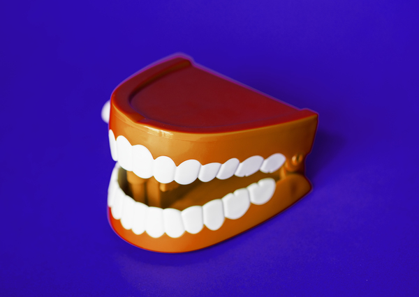 artificial,background,bite,blue,bright,care,chattering,chattering teeth,childish,children,clean,clinic,close up,close-up,colorful,crown,dental,dentist,dentistry,denture,fake,gum,health,hygiene,isolated,jaw,laughing,medi