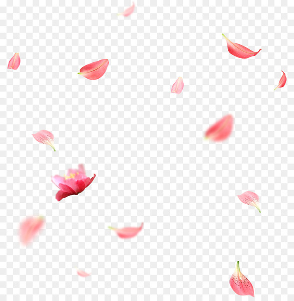 petal,encapsulated postscript,cdr,template,fundal,pptx,dwg,photography,download,pink,heart,point,line,red,png