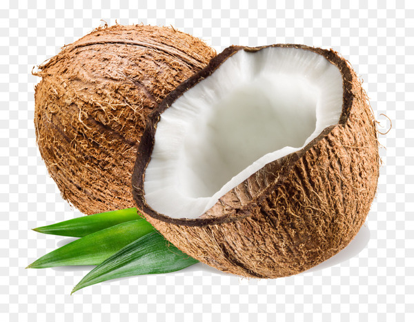 coconut water,coconut milk,coconut,coconut oil,food,cooking,mediumchain triglyceride,olive oil,mesocarpi,lauric acid,drupe,oil,ingredient,png