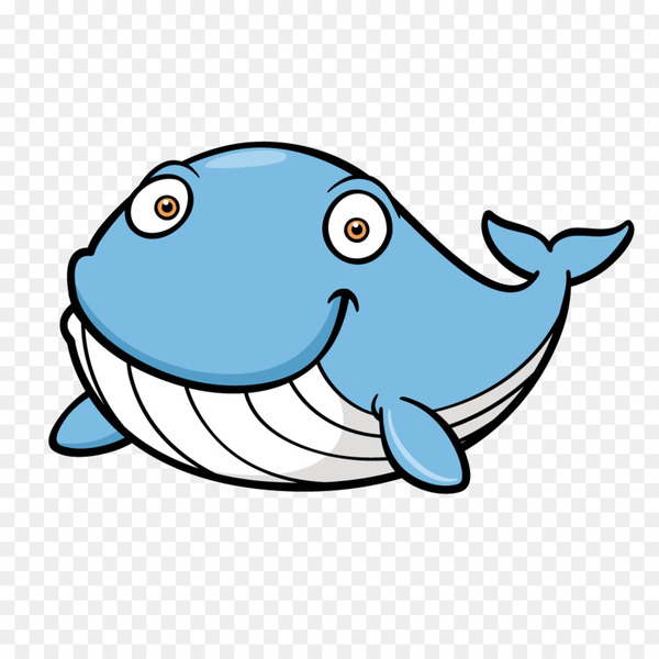 whale,blue whale,download,cartoon,fish,marine mammal,organism,line,area,png