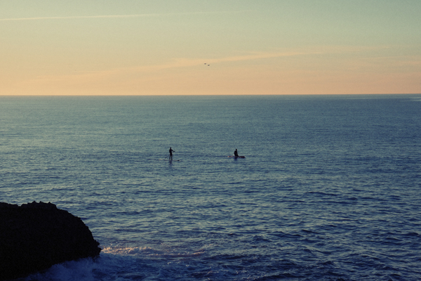 water,ocean,sea,paddle boarding,paddle boarders,sunset,sky