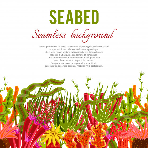 seabed,depth,tropic,deep,exotic,reef,wildlife,seaweed,sunlight,ray,wild,coral,view,tropical background,background poster,swim,seamless,water background,marine,underwater,summer background,light background,life,print,tourism,decorative,title,nature background,background blue,ocean,natural,poster template,flyer template,tropical,art,landscape,wallpaper,layout,typography,beauty,fish,sea,blue,nature,light,template,summer,border,blue background,water,travel,cover,poster,flyer,background
