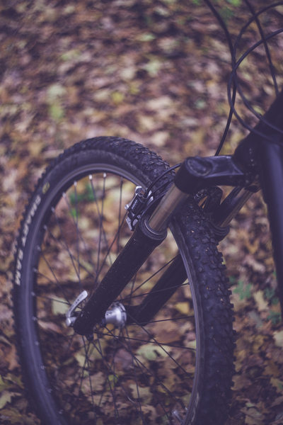 wheel,transportation system,recreation,outdoor,nature,mountainbike,leaves,landscape,growth,ground,green,flora,environment,daylight,countryside,colorful,close-up,brake,blur,bike