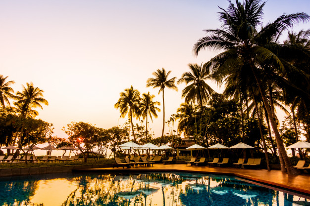 vintage,tree,summer,blue,luxury,landscape,tropical,silhouette,hotel,palm tree,mexico,coconut,bed,palm,pool,sunset,tourism,tree silhouette,swimming,sunrise