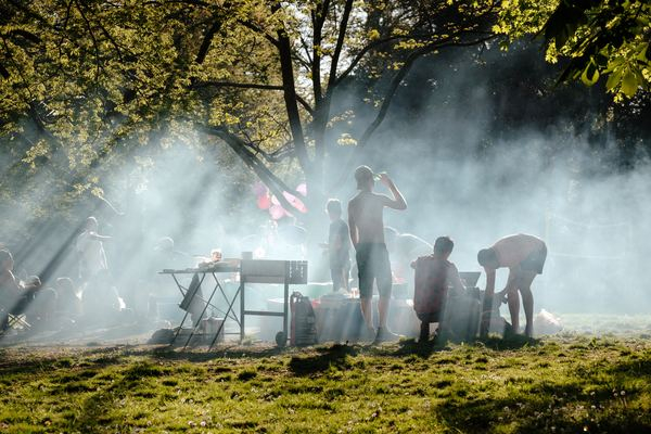 general,woman,female,switzerland,geneva,architecture,cook,barbecue,meal,smokey,smoke,friend,outdoor,meal,park,barbecue,bbq,tree,outdoor grill,grill,mist,free images
