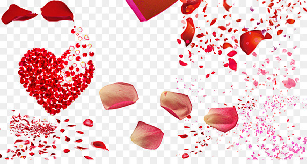 beach rose,petal,heart,download,love,rgb color model,designer,valentines day,upload,red,rose,valentine s day,png