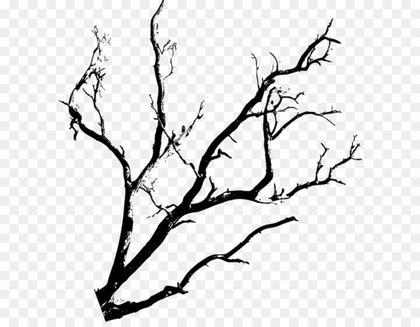 tree,halloween,twig,black and white,branch,black,leaf,woody plant,monochrome photography,flora,plant,png