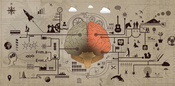 intelligence,brain,wisdom,abstract,illustration,mind,symbol,expertise,think,head,idea,business,technology,imagination,function,human,psychology,science,intellectual,intellect,medical,left,right,diagram,cerebral,scientific,body,cerebrum,art,sense,background,education,music,concept,neurology,cerebellum,anatomy,nervous,top,cortex,cross,tissue,up,section,nerve,genius,organ,sensory,complexity,central,memory,system,learning,cognition,development,child,iq,g,factor,intelligent,smart,cognitive,neuron,study,problems,losing,light,disease,analysis,medicine,depression,purple,forget,internal,remember,mental,health,mentality,icon,graphic,thalamus,lobe,telepathy,inside,synapse,complex,abstraction,dream,scheme,formula,growth,geometry,hemisphere,microscope,emotion,plant,brainy,vintage,anatomical,side,process,thinking,icons,moon,building,painting,chemistry,mathematics,cars,hemispheres,guitar,analytical,creative,chess,books,pencil,satellite,physical,bridge,vector,gears,thoughts,cogs,humans,concepts,engineering,wheels,teamwork,part,group,talking,design,set,shape,object,color,profile,machinery,innovation,circle,people,engine,creativity,contemplation,solution,person,metaphor,machine,stylization,concentration,silhouette,communication