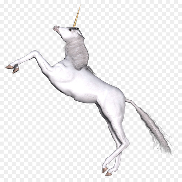 unicorn,fairy tale,fairy,mythology,legendary creature,fantasy,fairy tale fantasy,mane,drawing,myth,horn,white,horse,neck,joint,horse like mammal,mustang horse,dog like mammal,fictional character,tail,mythical creature,muscle,wing,png