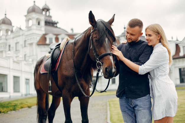 Free: Cute loving couple with horse on ranch Free Photo 