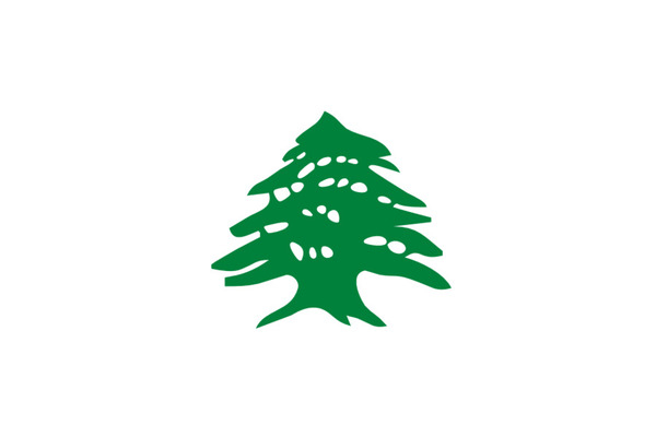 lebanon,cedrus libani,greater lebanon,flag of lebanon,french mandate for syria and the lebanon,flag,tree,flag of the united states,flag of france,white flag,symbol,shihab dynasty,cedar,grass,leaf,green,logo,line,png