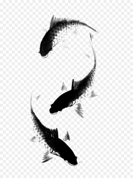 china,carp,ink wash painting,painting,brush,chinese painting,ink,art,calligraphy,fish,stock photography,monochrome photography,monochrome,black and white,png