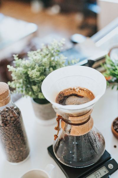 green,coffee,plant,caffeinated,coffee,drink,office,hand,laptop,coffee,filter,plant,foliage,coffee bean,jug,glass,scales,coffeebean,pourover,chemex,nature,free images