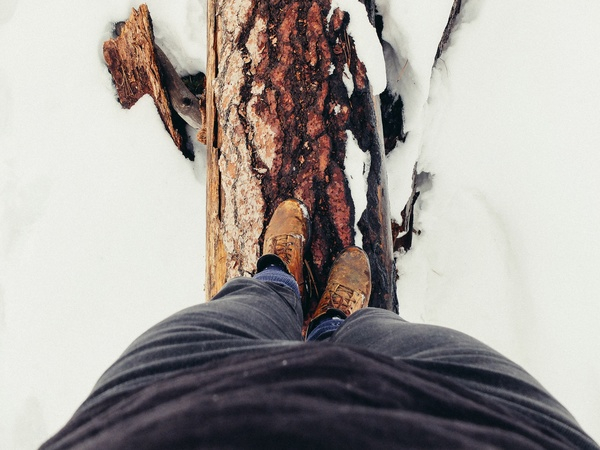 snow,winter,cold,footwear,shoes,tree,wood,adventure,outdoor