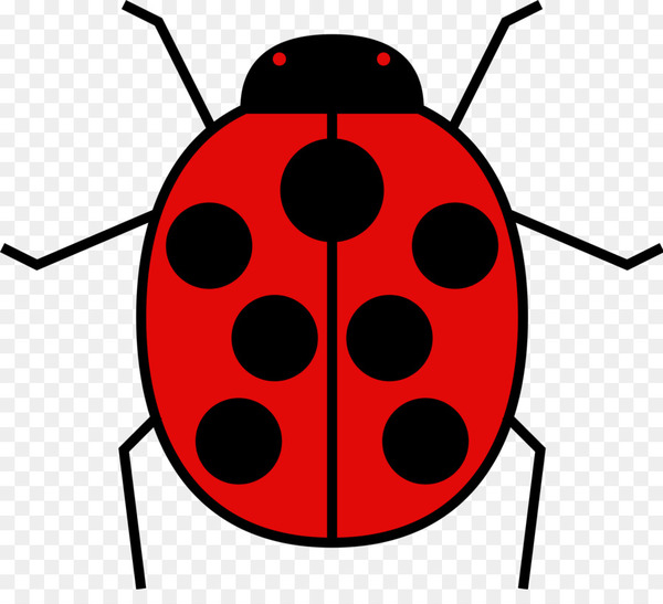 ladybird beetle,beetle,document,insect,ladybug,symmetry,leaf beetle,invertebrate,jewel bugs,red bugs,png