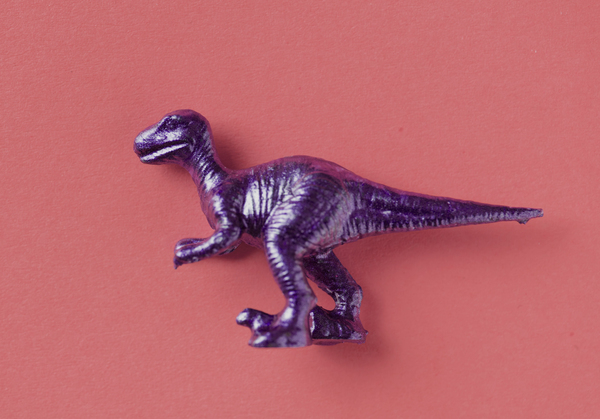 aerial,ancient,animal,art,background,biology,carnivore,colorful,dino,dinosaur,effects,extinct,figure,figurine,flat lay,flatlay,illustration,isolate,jurassic,large,mammal,model,museum,object,outdoors,paleontology,plastic,powerful,prehistoric,reptile,safari,side view,strong,toy,trex,wild,wildlife,Free Stock Photo