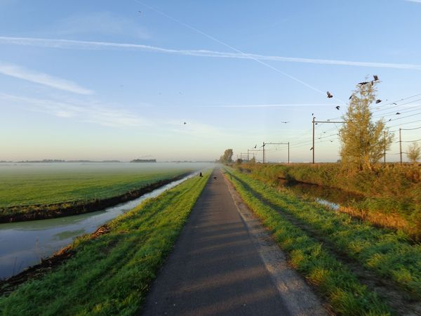 netherlands,birds,grass,road,cycling,green,nature,fields,lane,bike
