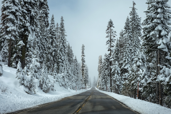 snow,cold,winter,trees,forest,road,highway,blue,sky