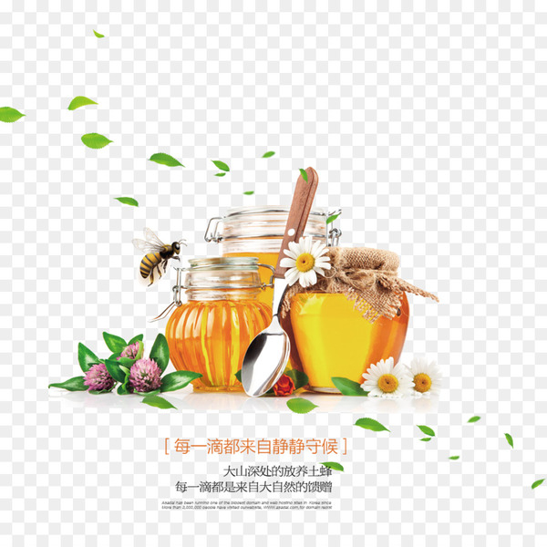 bee,honey bee,beehive,honey,chamomile,food,desktop wallpaper,beeswax,russian honey bee,bumblebee,honey extraction,pollen,manicure,product,drink,flavor,png