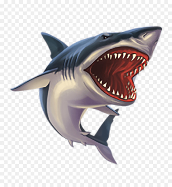 shark,tiger shark,great white shark,shark attack,computer icons,bull shark,isurus oxyrinchus,3d computer graphics,hammerhead shark,download,animal,fish,cartilaginous fish,requiem shark,marine biology,png