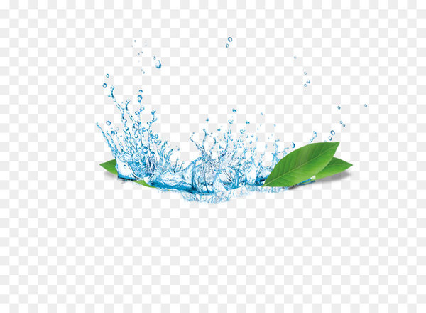 carbon dioxide,glass,chemical reactor,drop,diffuser,aquarium,glass tube,suction cup,borosilicate glass,water,glassceramic,atomizer nozzle,mug,cup,material,leaf,pattern,aqua,tree,computer wallpaper,design,illustration,branch,green,line,grass,organism,png