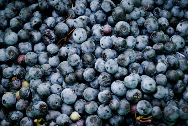 blueberries,fruits,food,healthy