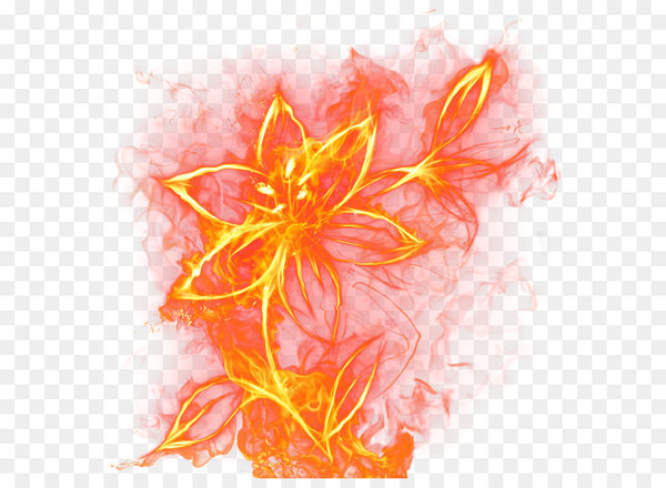 fire,flower,flame,rose,desktop wallpaper,christmas,combustion,watercolor painting,rose oil,petal,lilium,leaf,peach,computer wallpaper,orange,png