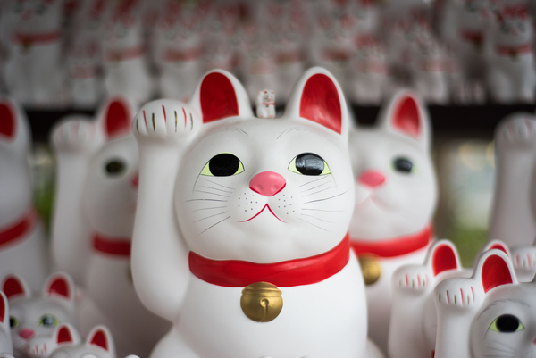 cat,figurine,japan,display,collections