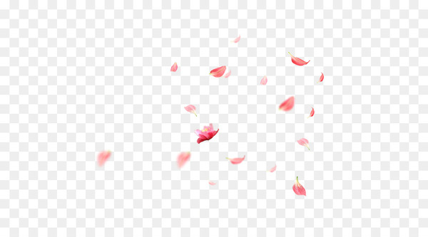 petal,cherry blossom,blossom,cerasus,cherry,flower,encapsulated postscript,pink,download,data,heart,square,triangle,point,circle,white,line,red,png