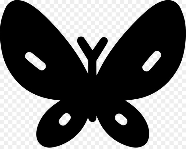brushfooted butterflies,butterfly,computer icons,adobe xd,computer software,encapsulated postscript,moths and butterflies,black and white,insect,invertebrate,monochrome photography,pollinator,leaf,brush footed butterfly,wing,line,symmetry,flower,silhouette,monochrome,arthropod,artwork,png