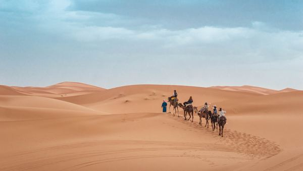 travel,adventure,map,travel,sahara,desert,sunset,wafe,cloud,camel,desert,dune,sand,tan,cloud,sky,morocco,sahara desert,sahara,sandy,sand dune,free pictures