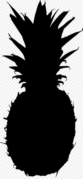 silhouette,art,pineapple,drawing,stencil,cartoon,logo,portrait,black,plant,ananas,tree,wing,blackandwhite,feather,bromeliaceae,png