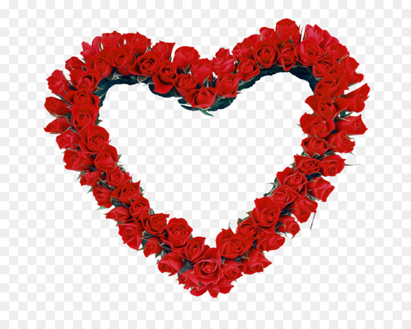 picture frames,rose,heart,right border of heart,garden roses,valentine s day,decorative arts,photography,desktop wallpaper,flower,love,petal,png