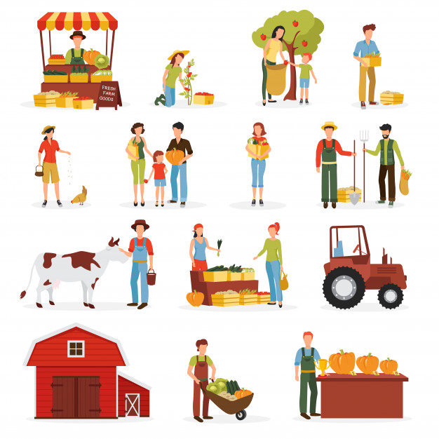 orrchad,barrow,farmland,livestock,poultry,ecological,ranch,hay,goods,cabbage,cattle,rural,set,countryside,barn,collection,harvest,icon set,season,flat icon,grain,country,land,tractor,fresh,field,food icon,business icons,stand,healthy food,pumpkin,vegetable,healthy,farmer,agriculture,natural,pictogram,market,meat,organic,flat,cow,time,garden,icons,chicken,fruit,farm,autumn,abstract,business,food