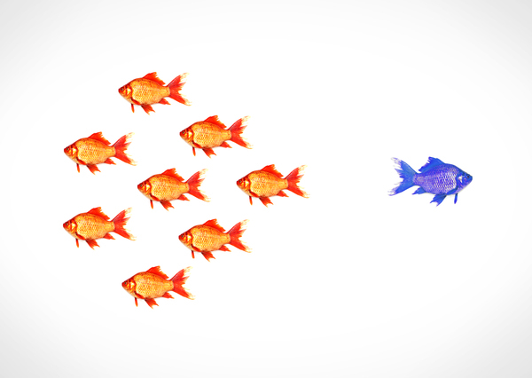 crowd,fish,group,background,isolated,white,success,individuality,concept,goldfish,leadership,individual,change,freedom,discrimination,leader,challenge,opposite,free,motivation,pet,on,out,standing,teamwork,team,corporate,business,office,individualist,individualism,salient,distinct,distinguished,contrasting,colorful,apart,away,shoal,lone,loner,talent,headhunting,headhunter,skills,skilled,rare,talents,skillful,against,rebel,swimming,motivate,odd,family,collection,winner,job,strange,opposition,discriminate,segregation,successful,competition,iq,ethic,ethical,box,bubble,choice,cloud,collar,communication,community,computing,concepts,creativity,crime,descent,discussion,diversity,ethnicity,fishing,from,global,metaphor,behavior,ideas,imagination,innovation,inspiration,investment,meeting,of,outside,raised,sign,speech,suit,support,the,thinking,together,unity,elite,compliance,stand,animal,aquatic,tropical,fin,shot,unique,swim,studio,orange,aquarium,underwater,different,object,conformity