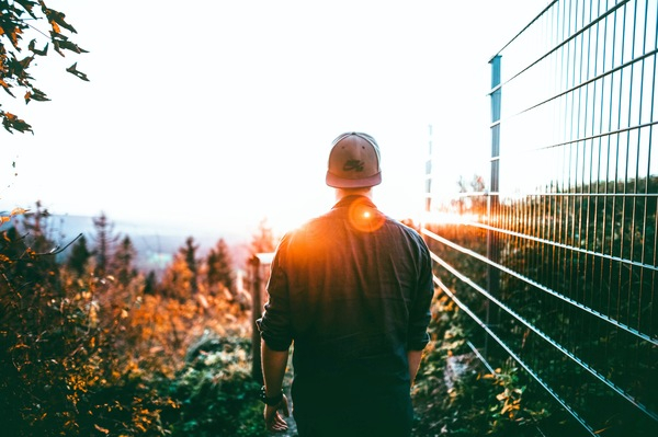 boy,cap,casual,dawn,dusk,environment,forest,idyllic,male,man,nature,person,scenery,scenic,sky,sunbeam,sunglare,tranquil,trees,wear,woods,Free Stock Photo