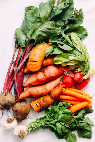 beetroot,carrot,healthy,sweet potato,top view,vegetables