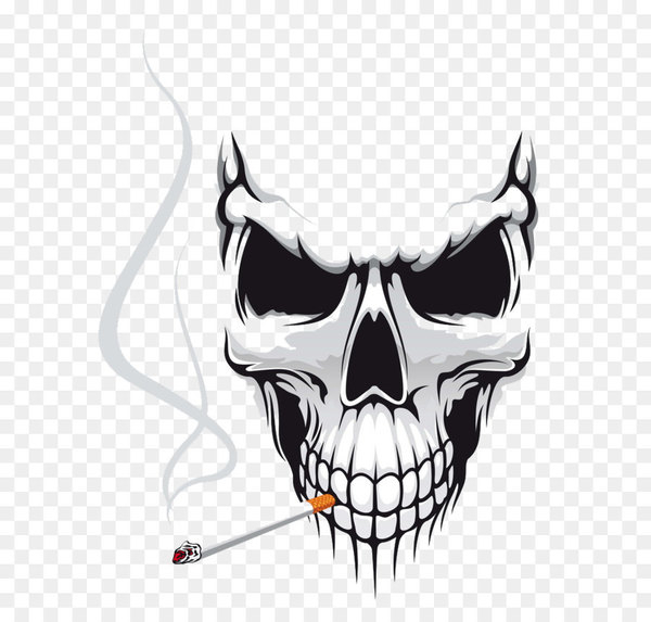 car,sticker,decal,adhesive tape,bumper sticker,skull,motorcycle,wall decal,polyvinyl chloride,die cutting,adhesive,bumper,redbubble,jaw,illustration,fictional character,computer wallpaper,graphics,font,wing,bone,png