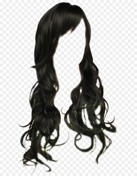 wig,black hair,long hair,hair,hairstyle,hair coloring,layered hair,capelli,human hair color,brown hair,bangs,hair styling tools,blond,png