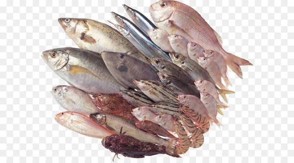 Fish Processing png images