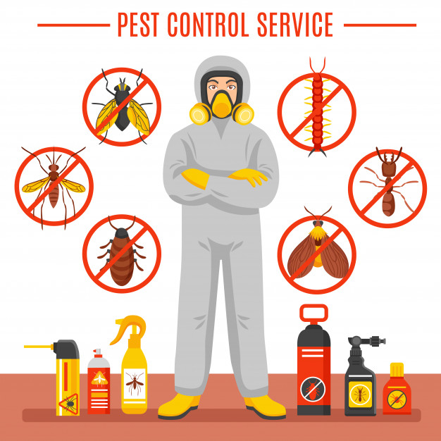 repellent,exterminator,parasitic,bedbug,gnat,grub,threats,disinfection,mite,malaria,insecticide,flapper,termite,pesticide,trap,fever,pest,cockroach,disease,toxic,poison,equipment,set,collection,bug,control,mosquito,icon set,flat icon,ant,protection,virus,insect,spider,chemical,spray,fly,tick,symbol,decorative,emblem,service,illustration,elements,eco,flat,icons,health